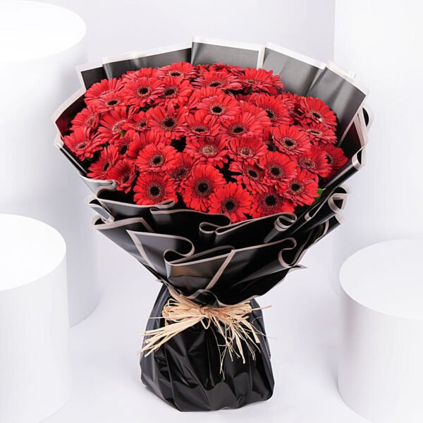 50 Red Gerbera Bouquet