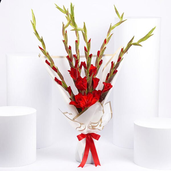 Red Gladiolus Bouquet